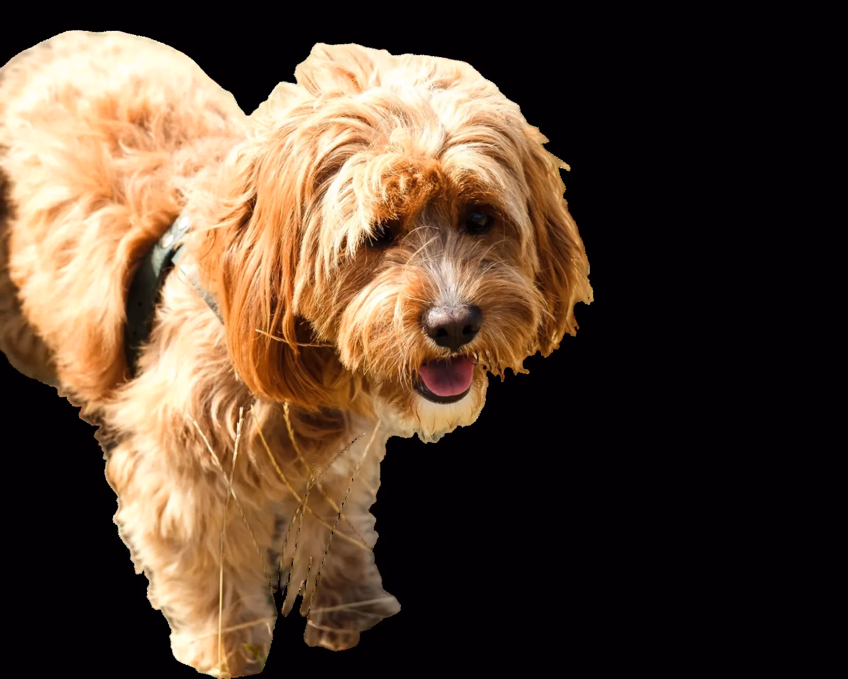 2025-ai-background-removal-tools-comprehensive-review-image-6