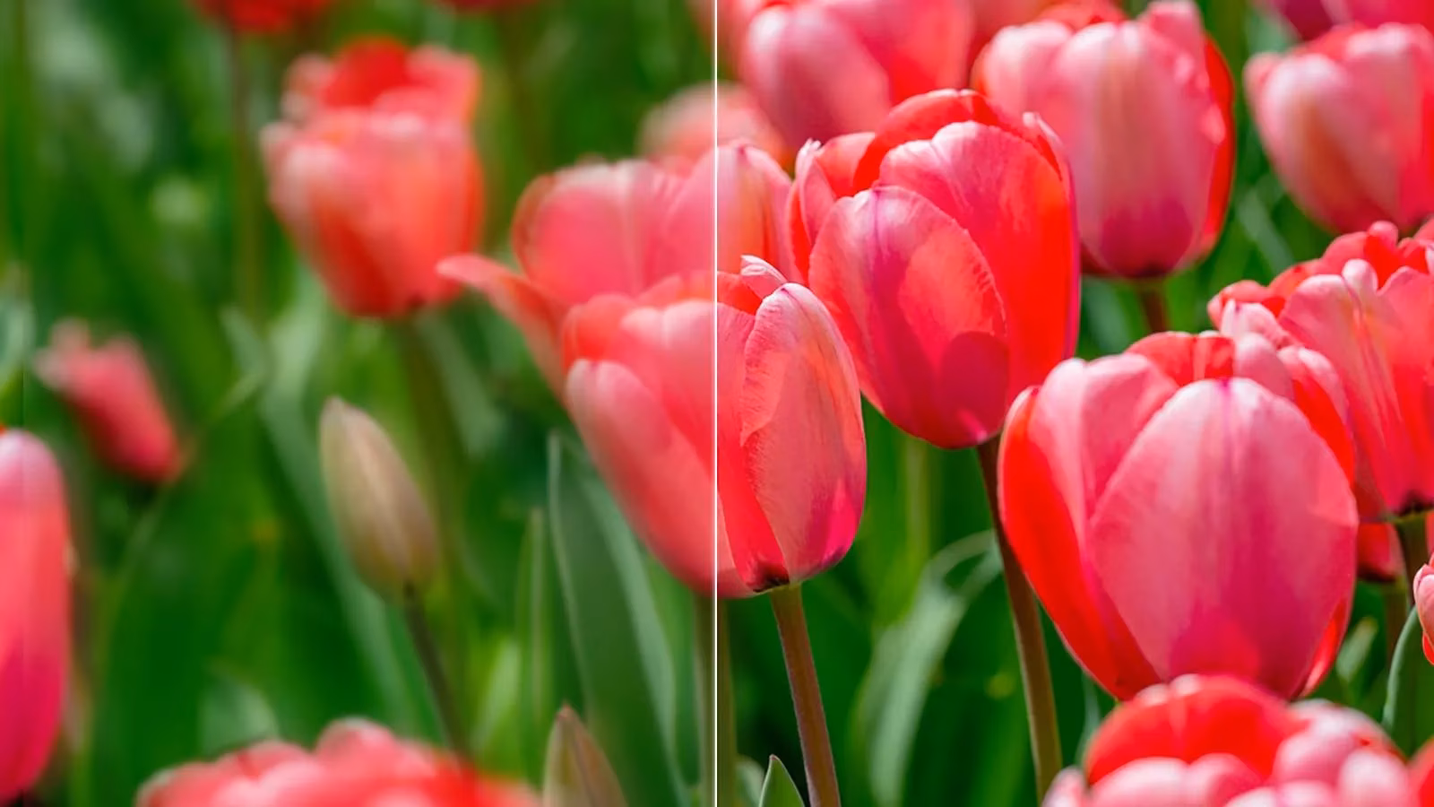 the-quest-for-clarity-free-ai-upscalers-in-2025-image-0